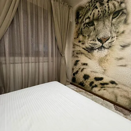Luxury View * كرايوفا